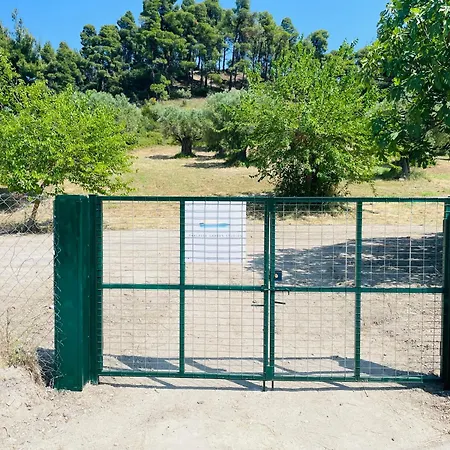 Lejlighedshotel Thalassa Garden 4*